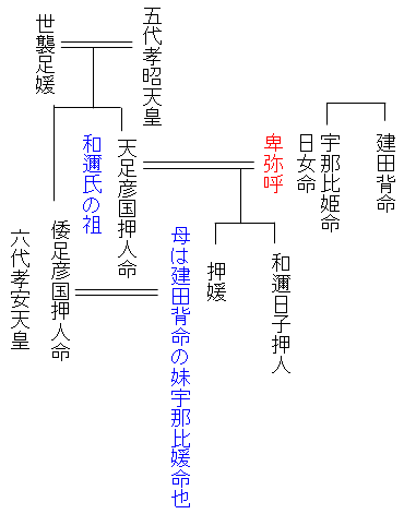 卑弥呼の墓: この人が卑弥呼