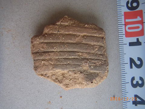 tamate-3.jpg