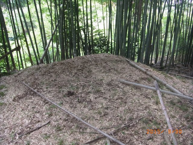 建田背命館跡写真